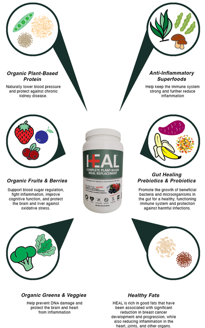 HEAL is packed full of anti-oxidants, anti-inflammatories, prebiotics and probiotics for whole nutrition you can feel