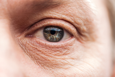 Close up of Eye Health